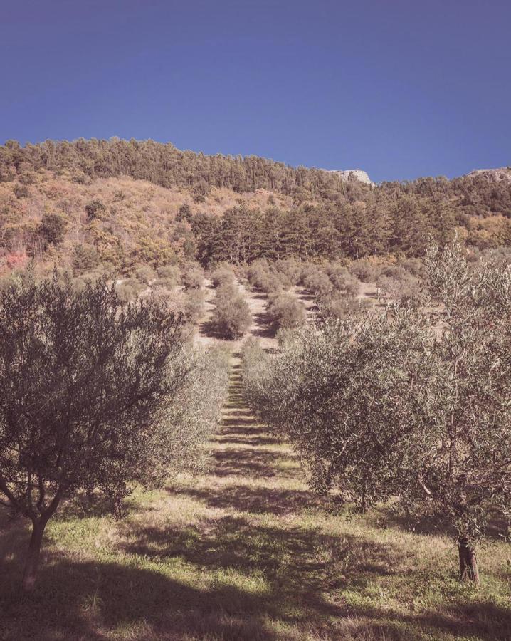 Agriturismo Querceto Mocaiana Bagian luar foto