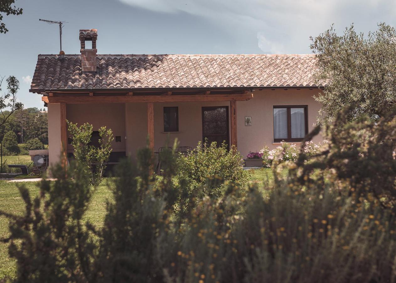 Agriturismo Querceto Mocaiana Bagian luar foto
